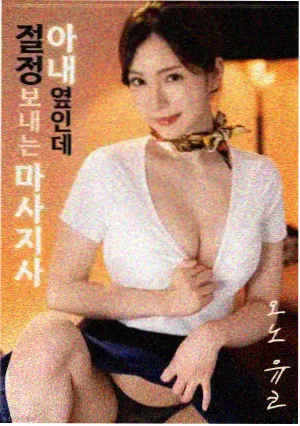 女仆不是我的错 小说封面